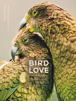 cover image of Bird Love